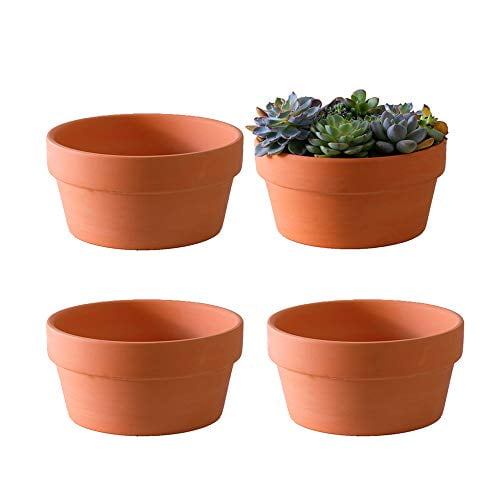 Mini Garden Succulent Ceramic Pot Planters Flowerpot Pottery Clay Bonsai Pots 